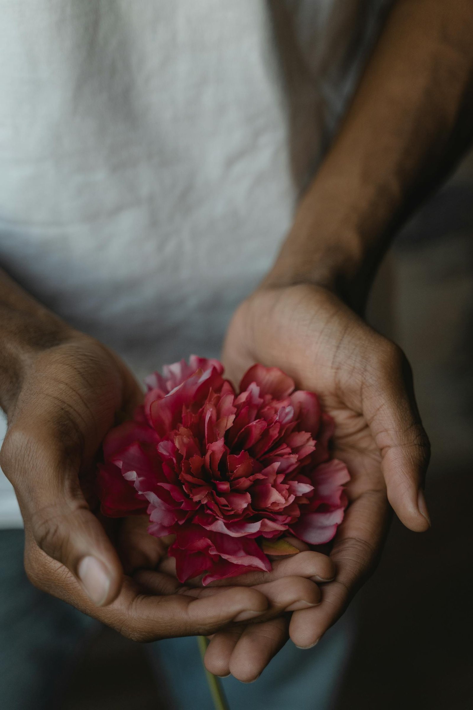 A delicate pink peony flower cradled in adult hands, symbolizing care and fragility.